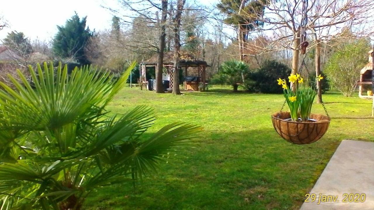 Le Clos Des Palombes Wifi Climatisation Saint-Pierre-du-Mont  Eksteriør bilde